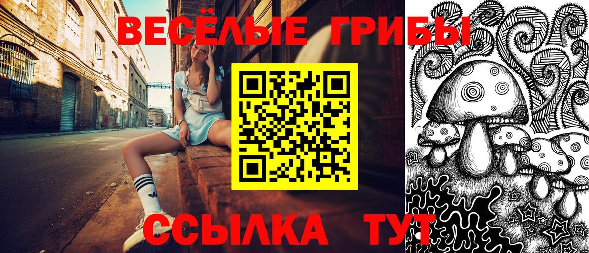 Галлюциногенные грибы Psilocybe Черногорск