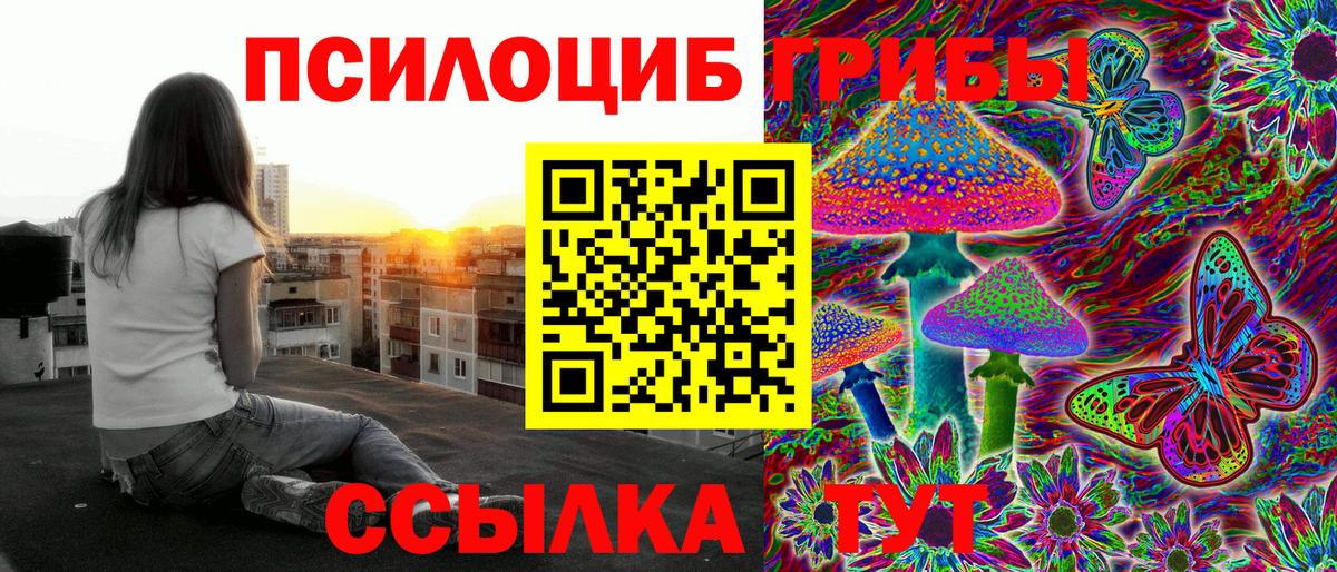 Галлюциногенные грибы MAGIC MUSHROOMS  Псилоцибиновые грибы Magic Shrooms  купить   Черногорск  Вход с VPN 